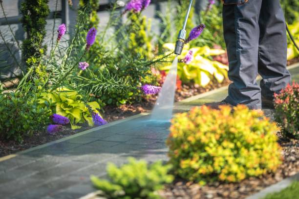 Best Animal Enclosure Cleaning  in Farmers Loop, AK
