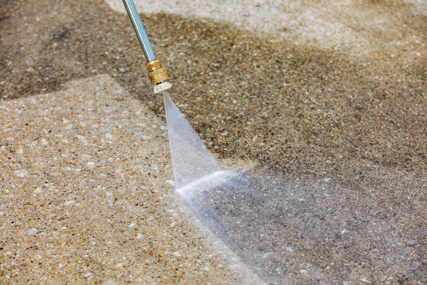 Animal Enclosure Cleaning in Farmers Loop, AK